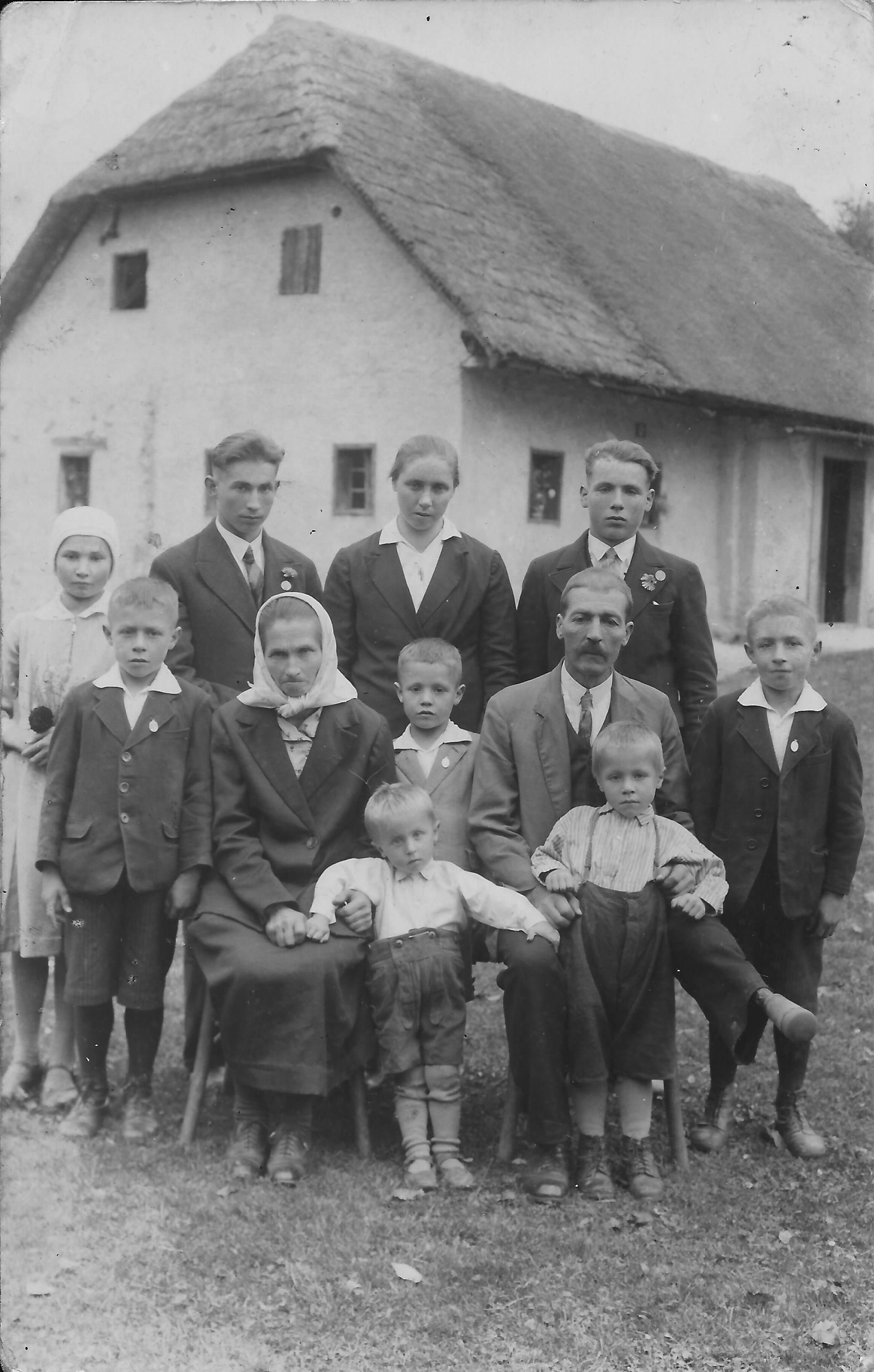 Dru ina pevec europeana