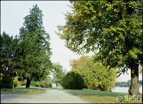 Potsdam Neuer Garten Parkansicht Blick Auf Das Grune Haus