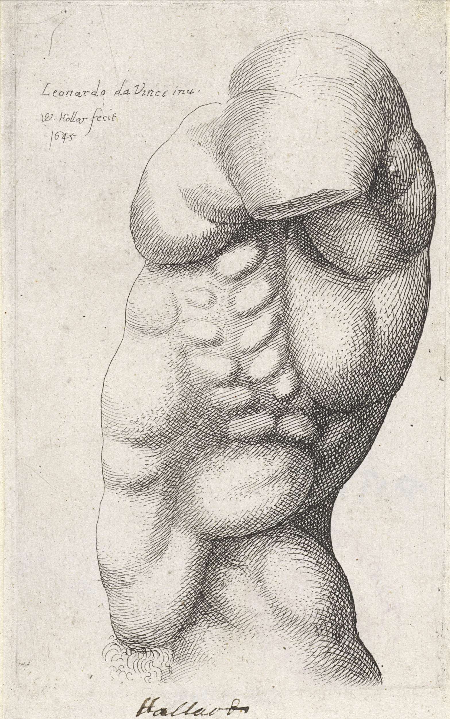 Anatomische Studie Van De Torso Van Een Man Van Opzij